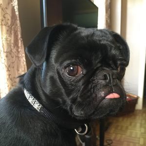 Meet your Posher, Sally